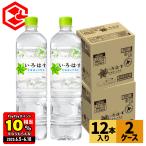 ●エントリーでさらにP10%付与 6/18まで● 水 ミネラルウォーター 天然水 備蓄 ペットボトル いろはす 北海道の天然水 950mlPET 12本入×2箱 24本 送料無料