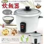 炊飯器 炊飯ジャー 2合 一人暮らし D-STYLIST おひとり炊飯器