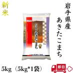 あきたこまち 5kg 令和4年産 米 お米 白米 おこめ 精米  岩手県産 単一原料米 ブランド米 5キロ 送料無料 国内産 国産