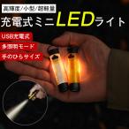 ミニ懐中電灯 LEDライト ハンディライト 小型 高輝度 USB充電式 軽量 キーホルダー 携帯 アウトドア 防水 防犯 防災 登山 夜釣り キャンプ