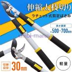  обрезка на высоком месте basami легкий эластичный ножницы для обрезки ветка порез .. обрезка на высоком месте . храпового типа обрезка . futoshi ветка порез .. высота ветка порез ветка порез .. ветка .. ножницы ветка порез .basami высота ветка .