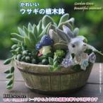 植木鉢 母の日 うさぎ ガーデニングオブジェ 鉢植え サボテン かわいい 底穴あり プランター 多肉植物 サボテン ミニ おしゃれ 可愛い ギフト