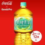 爽健美茶 PET 2L 2ケース 12本