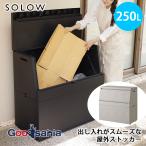  белка SOLOW вынимание и вкладывание . гладкий наружный держатель 250L сделано в Японии все 2 цвет 