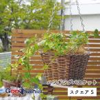 poshu living горшок покрытие висячий корзина квадратное S примерно W14.5×D14.5×H55.5(12)cm Brown 11614
