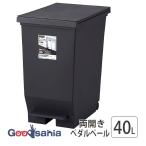 アスベルゴミ箱エバン両開きペダルペ...