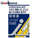 第2類医薬品 ★漢方麻黄湯エキス顆粒i 10包