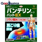 その他肩こり、腰痛、筋肉痛薬