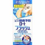 第3類医薬品 ロートフラッシュクール 500mL