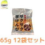 芋けんぴ 澁谷食品 サクサク芋けんぴ 甘しお味 55ｇ 1２袋セット