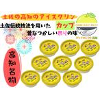 さめうらフーズ アイスクリン カップ 150ml×9個 昔懐かしい縁日の味 さめうらフーズ 高知の夏にぴったり