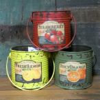 ¥Ö¥ê¥´Ì ¥Õ¥ë¡¼¥Ä ¥Ý¥Ã¥È FRUIT TIN ¥¬¡¼¥Ç¥Ë¥ó¥° ¥×¥é¥ó¥¿¡¼ È