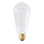 エジソン球 Lサイズ おしゃれ ライト インテリア照明 電球 照明 口金サイズ E26 26口径 26mm 60W 60ワット アンティーク 白熱電球 カフェ エジソン球 LHB-91