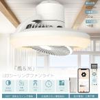  потолочный вентилятор свет колеблющийся swing нет -ступенчатый style свет тонировка звук контроль с вентилятором циркулятор свет модный ребенок часть магазин уборная living .. место вход 