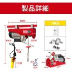  electric winch 100V 200kg home use electric hoist lifting hanging lowering crane PL guarantee joining settled 1 year guarantee #718