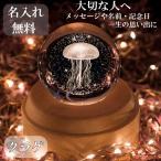 木製 オルゴール クリスタル 球 クラゲ 名入れ 対応 LED ライト 光 音 幻想的 間接照明 天井 蓮 ベッドサイド インテリア おしゃれ プレゼント USB 充電