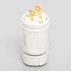  american электро- машина .. форма штекер белый 2P125V