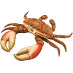 BH6312 HANSA краб orange 35cm