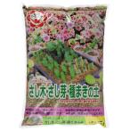  день Kiyoshi сад Mate .. дерево *...* вид ... земля 5L