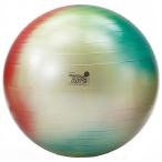  Dan no(DANNO)gimnik arte 65cm D-5986