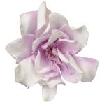  большой земля сельское хозяйство . сделано в Японии консервированный цветок soft гардения parfait цветок диаметр примерно 6~8cm 6 колесо белый лиловый 