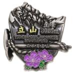 Япония 100 название гора [ значок ] Eve si булавка z/ Татеяма eiko- треккинг альпинизм товары почтовый заказ 