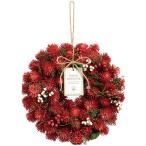  lease конечный продукт [SG Wonder zone готовый lease диаметр 24cm Berry серия красный 660-018]