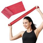  Sera частота тренировка частота эспандер частота модель красный длина 1m ширина 12.5cm интенсивность Revell :±0 TBE-2 интенсивность другой manual 