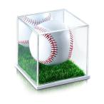 Tubbi автограф мяч кейс искусственный газон зеркало имеется автограф мяч Golf бейсбол Home Rimbaud ru кейс бейсбол мяч кейс повреждение . предотвращение делать акрил ko