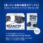 【登っている時の瞬発力アップに】Obsidian｜BCAA6790+ クレアルカリン配合 　1箱　(9.5g×36袋） サプリメント