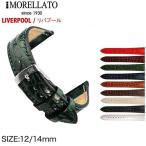 Morellato ���顼�� LIVERPOOL ��Хס��� �쥶���٥�� D0751376 ���ץХ�� ������ ��12mm/14mm