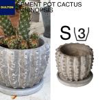 植木鉢 おしゃれ  CEMENT POT CACTUS ECHINOPSIS Sセメント ポット カクタス エキノプシス S ダルトン