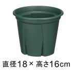 植木鉢 スリット鉢 根っこつよし 6号 18cm グリーン 2リットル プラスチック 鉢 軽量 根が育つ
