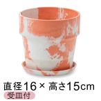  модный цветочный горшок дерево Stone pra pot 16.5cm 5 номер . тарелка есть Carrot * молоко 2 цвет мрамор 