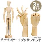 【3点セット】デッサン ドール 人形 ハンド マネキン 手 右手 左手 木製 14関節可動 デッサンドール 手 指 人 模型 高品質【送料無料・あすつく即納】