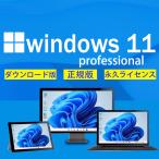 ショッピングWindows Windows 11 Professional プロダクトキー [Microsoft] 1PC/ダウンロード版 | 永続ライセンス・日本語版