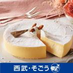 青山ランス 半熟チーズケーキ