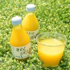 Gottsuobin 50240p0660