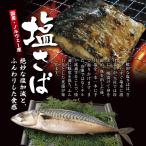 鳥取県の塩サバ 酒ノ津仕立て 特大 450g×5枚 冷蔵 上野商店 産地直送 他のメーカー商品との同梱不可 鯖 さば ノルウェー産 ギフト