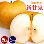 早割梨王国鳥取予約梨新甘泉5kgセ...