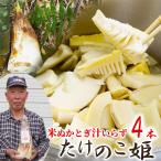 26 год весна новый предмет предварительный заказ высококлассный . рис .. точить . не необходимо прием после утро .. дорожная станция . популярный побеги бамбука .... только утро ..4шт.@ бамбук. . прямая поставка от производителя сырой кожа имеется красный земля. .. сельское хозяйство производство рефрижератор 