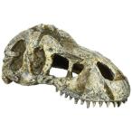 ekizo tera GEXEXOTERRAT-REX Skull SPT2860 рептилии для ракушка ta- орнамент .. дом автобус King спот W15xD7xH6cm