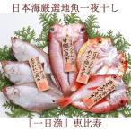日本海厳選地魚一夜干「一日漁」恵比寿(えびす)のどぐろ、甘鯛、れんこ鯛、かれい 岡富商店 のし対応可