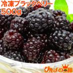  подарок на Bon Festival BlackBerry рефрижератор BlackBerry 500g×1 рефрижератор фрукты yonanas
