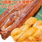 お中元うにうなぎセット超特大！うな...