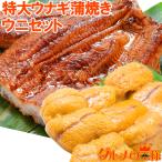 うにうなぎセット <松> 超特大国産うなぎ蒲焼き 平均250g前後×2尾 生ウニ 100g タレ付き 単品おせち 海鮮おせち