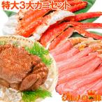 かにセット 特大3大カニセット タラバガニ 5L 1kg 1肩 かにしゃぶ用生ズワイガニポーション 5L 500g 特大毛がに 1尾 570g前後 正規品 かに カニ 蟹 お歳暮