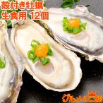 生牡蠣 殻付き 生食用カキ(12個入り 冷凍殻付き牡蠣 生食用)