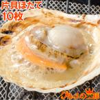 ホタテ ほたて 特大 片貝ほたて 10枚入り (殻付きほたて 帆立 貝 バター焼き 浜焼き バーベキュー BBQ 業務用 築地市場 ギフト)
