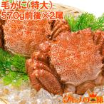 毛がに 毛蟹 浜茹で メガ毛ガニ姿×2尾 570g 単品おせち 海鮮おせち